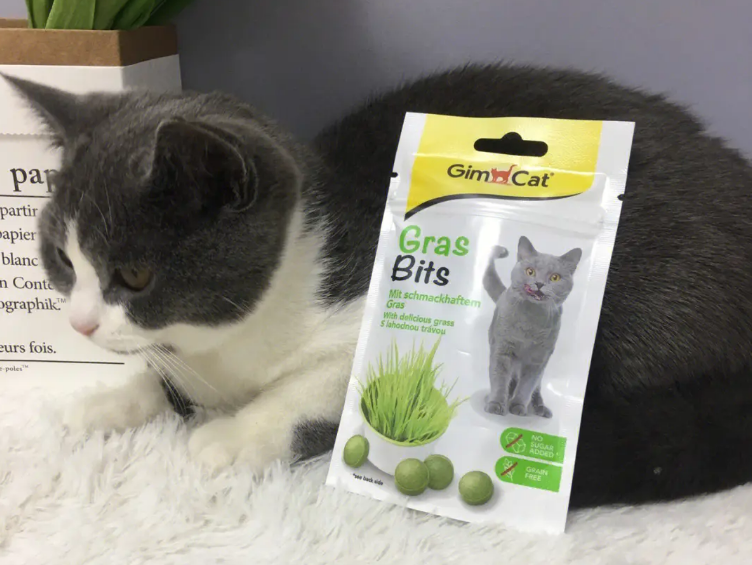 猫草好还是猫草片好