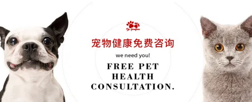 宠物平台排名前十 宠物平台排名前十