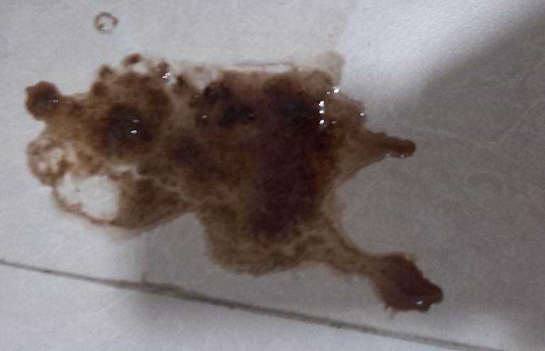 狗狗便便有粘液的原因,你知道吗?-宠物网
