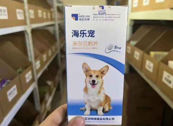 狗体内驱虫主要驱什么