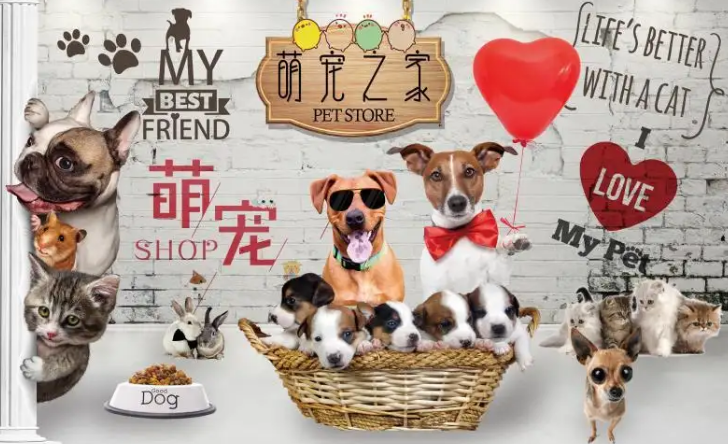 跟猫有关的文艺店名