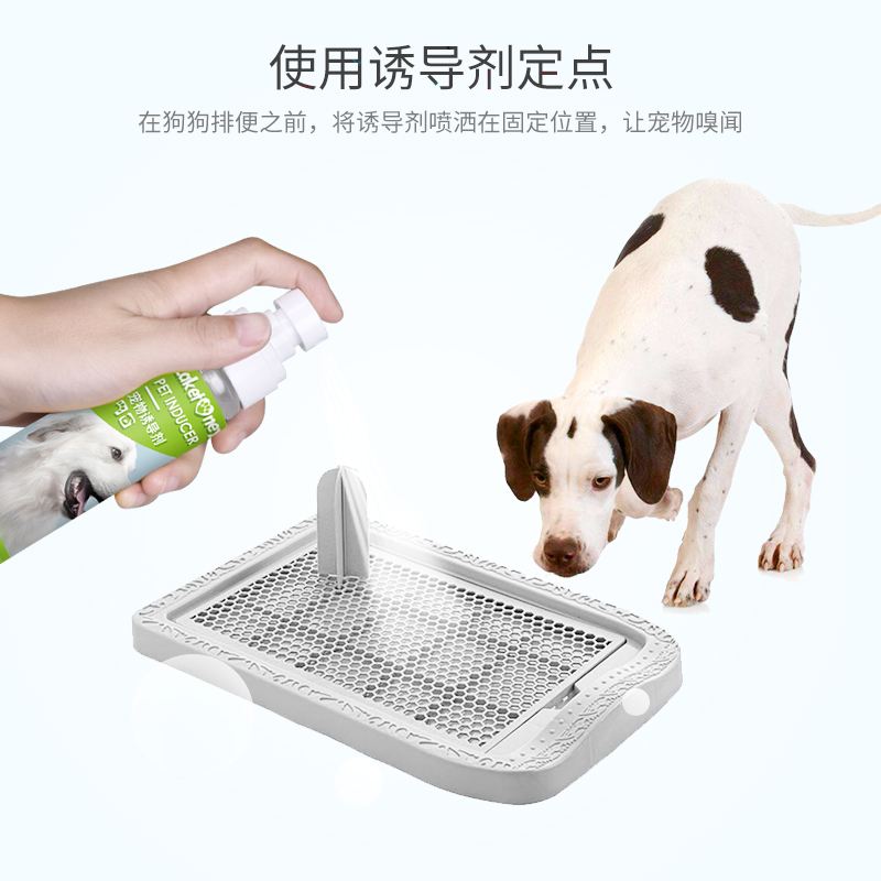 狗狗诱导剂到底有没有用 狗狗诱导剂到底有没有用
