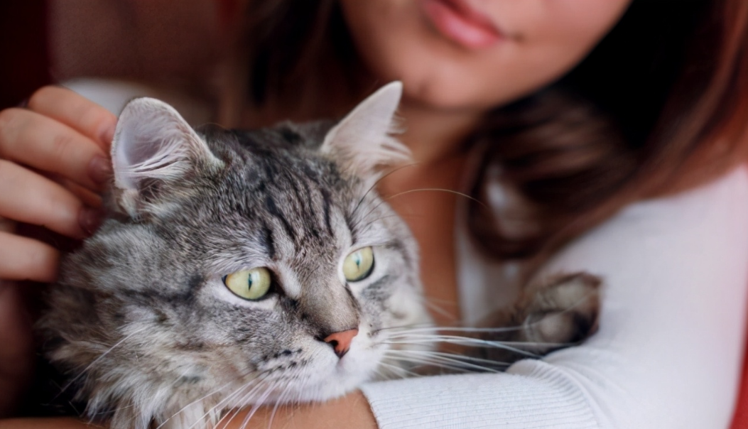 养猫让女人变得更好看