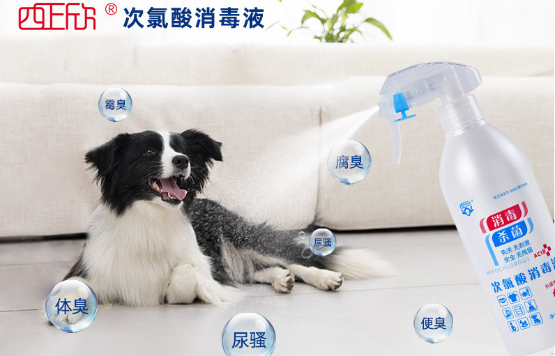 次氯酸可以给宠物消毒吗