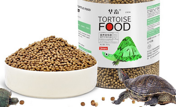 乌龟一次吃几粒龟粮 乌龟一次吃几粒龟粮