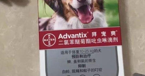 宠物体外驱虫药推荐
