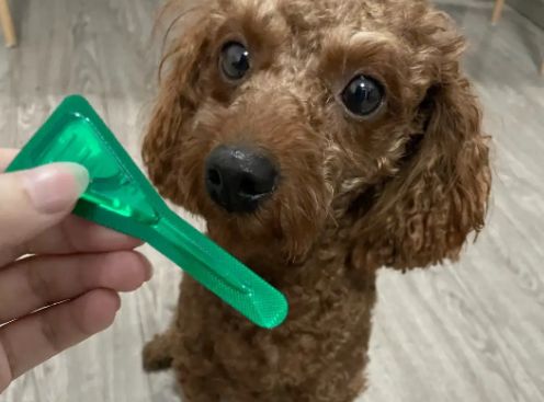 狗狗体外驱虫推荐