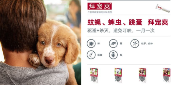 狗狗体内体外驱虫哪种好
