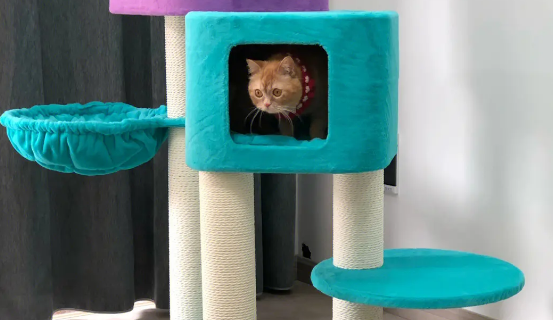 猫爬架一般多重 猫爬架一般多重