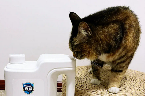 今日解答,84消毒液对猫咪有害吗? 今日解答,84消毒液对猫咪有害吗?