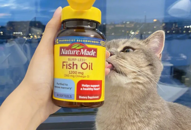 鱼油对猫咪有什么作用