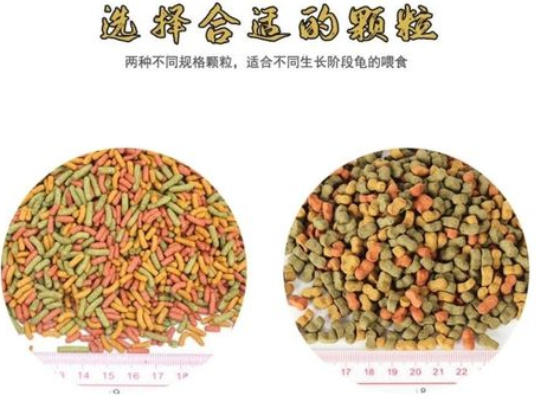 龟粮里面有什么