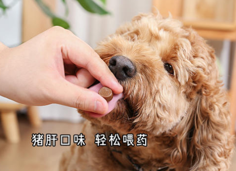 狗狗滴完体外驱虫药有什么反应