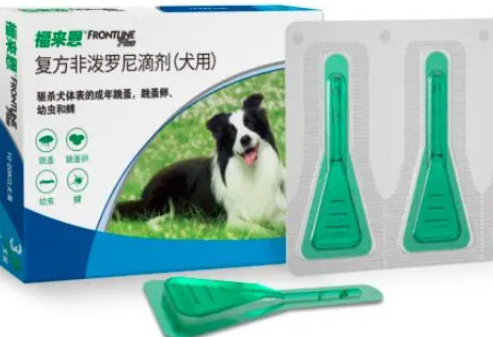 狗子体外驱虫多久 狗子体外驱虫多久