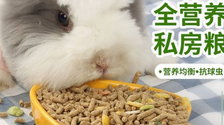 幼兔吃什么牌子的兔粮好 幼兔吃什么牌子的兔粮好