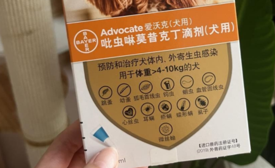 狗狗体外驱虫主要驱什么虫