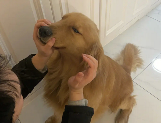 狗体内驱虫什么好
