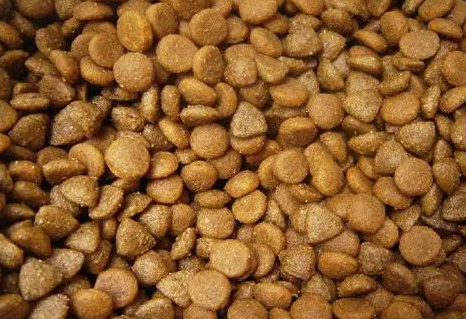 开狗粮加工厂加盟 开狗粮加工厂加盟