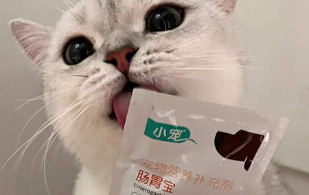 猫咪的益生菌怎么喂