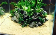60鱼缸要多少斤水草泥