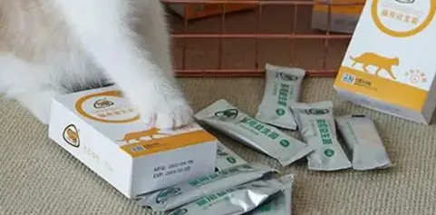 怎样给猫喂益生菌 怎样给猫喂益生菌