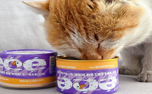 猫太郎