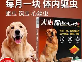 狗狗什么时候可以做体内驱虫