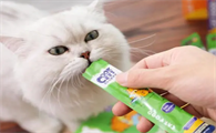 猫一次吃多少猫条