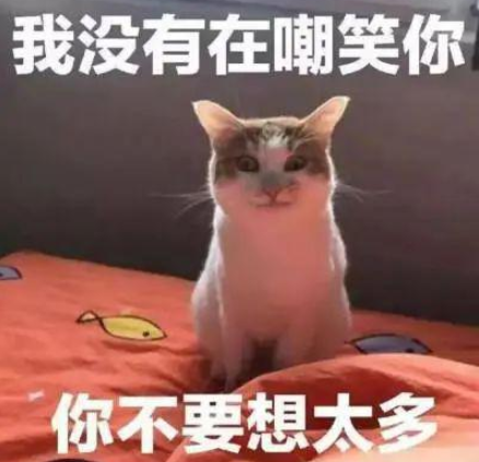 趁母猫不注意,狗狗对5只猫崽下手了 趁母猫不注意,狗狗对5只猫崽下手了