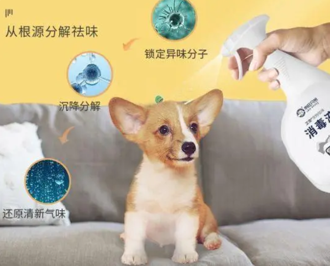 宠物消毒剂可以喷到猫上吗
