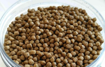 热带鱼粮品牌 热带鱼粮品牌