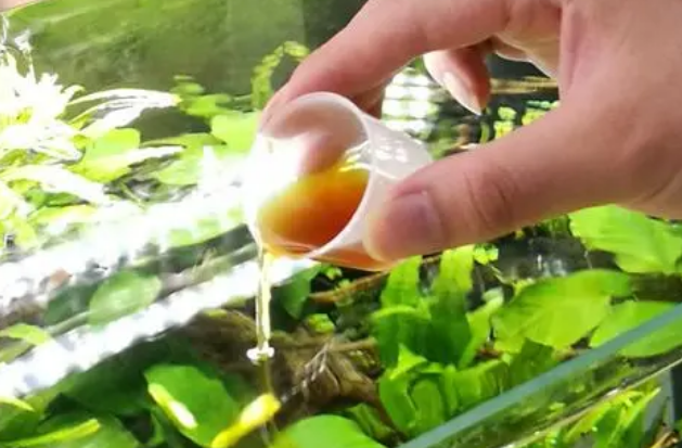 硝化菌在鱼缸中起什么作用