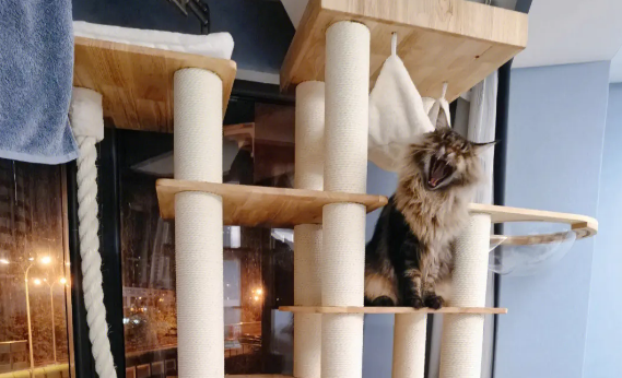 猫爬架怎么拼 猫爬架怎么拼