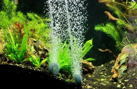 鱼缸增氧泵哪种好 鱼缸增氧泵哪种好