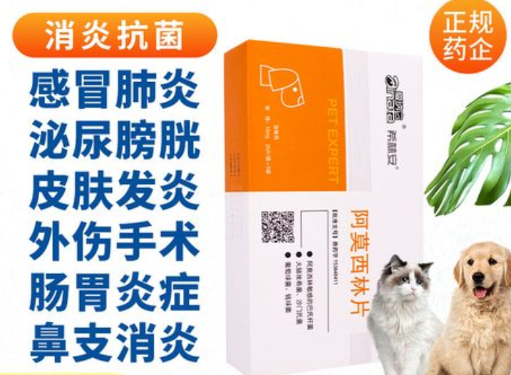 宠物医院感冒药多少钱