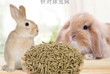 兔兔吃什么兔粮好 兔兔吃什么兔粮好