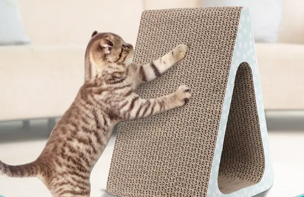 猫抓板有啥用处