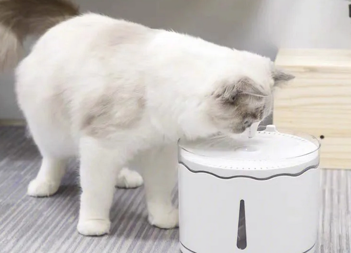 petkit小佩宠物饮水机怎么样