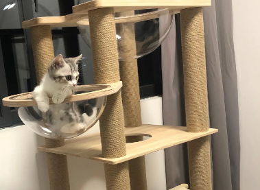 猫咪猫爬架怎么做