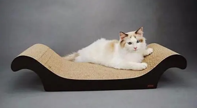 代替猫抓板的东西