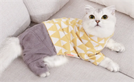 女性养公猫还是母猫好