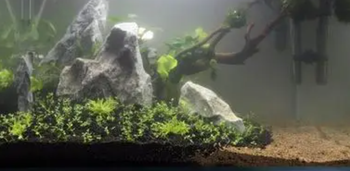 40草缸用多少水草泥
