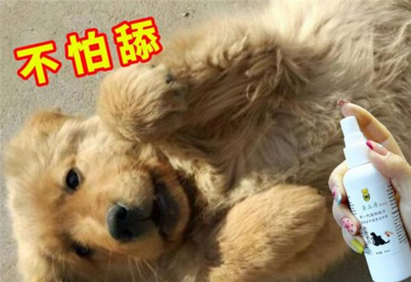 狗用体外驱虫吗