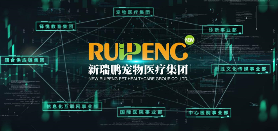 募集资金加深品牌影响力，行业先驱新瑞鹏扬帆启航