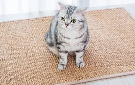 自制猫抓板教程