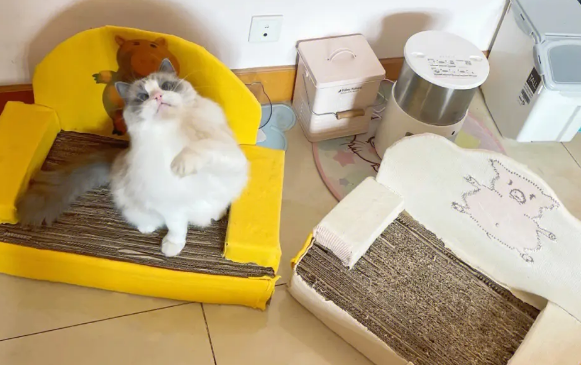 怎么样做猫抓板
