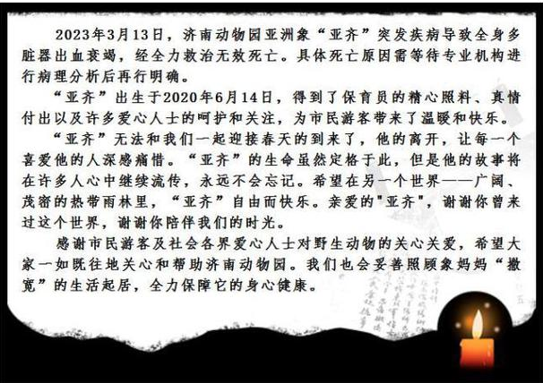 济南动物园通报:亚洲象“亚齐”突发疾病死亡 济南动物园通报:亚洲象“亚齐”突发疾病死亡