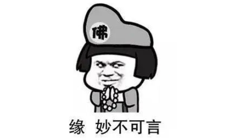 救助站领回一只狗，和原住民一样，查DNA后……