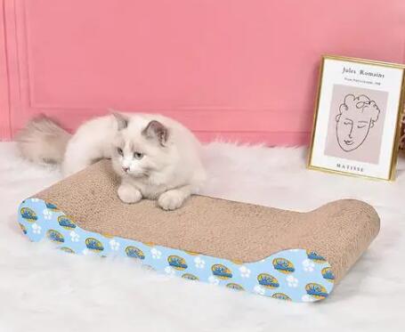 怎样让猫用猫抓板 怎样让猫用猫抓板