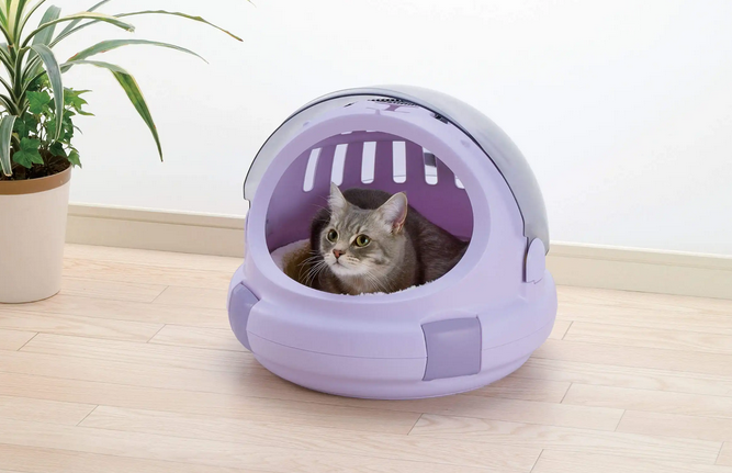 猫咪航空箱是什么样子 猫咪航空箱是什么样子